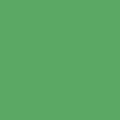 verde D181 vision bordar